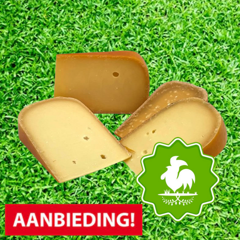 Oude biologische kaas