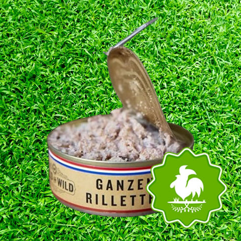 Ganzen rilletes